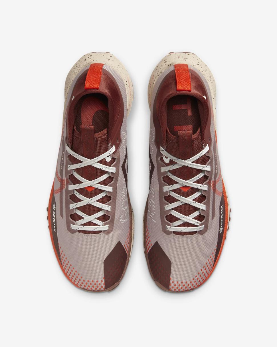 Nike Pegasus Trail 4 GORE-TEX Diffused Taupe/Dark Pony/Sail/Picante Red | Womens Nike Running