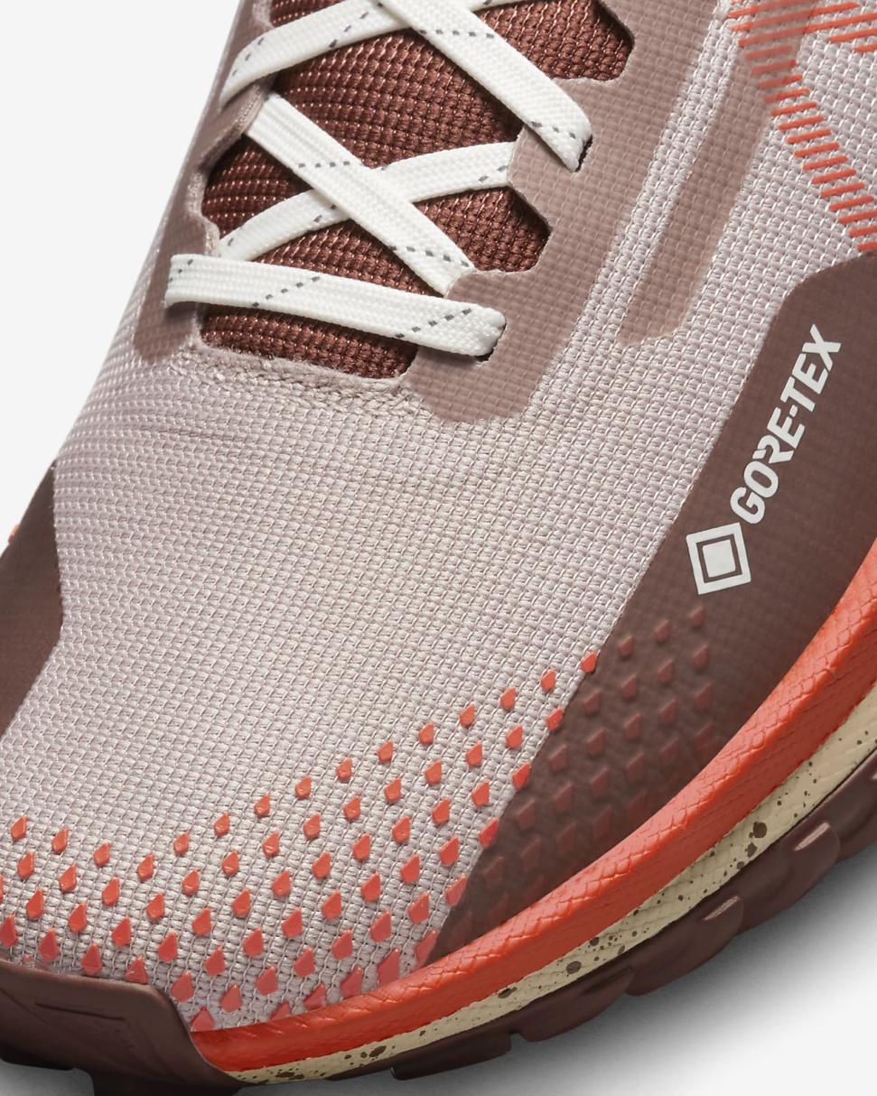 Nike Pegasus Trail 4 GORE-TEX Diffused Taupe/Dark Pony/Sail/Picante Red | Womens Nike Running