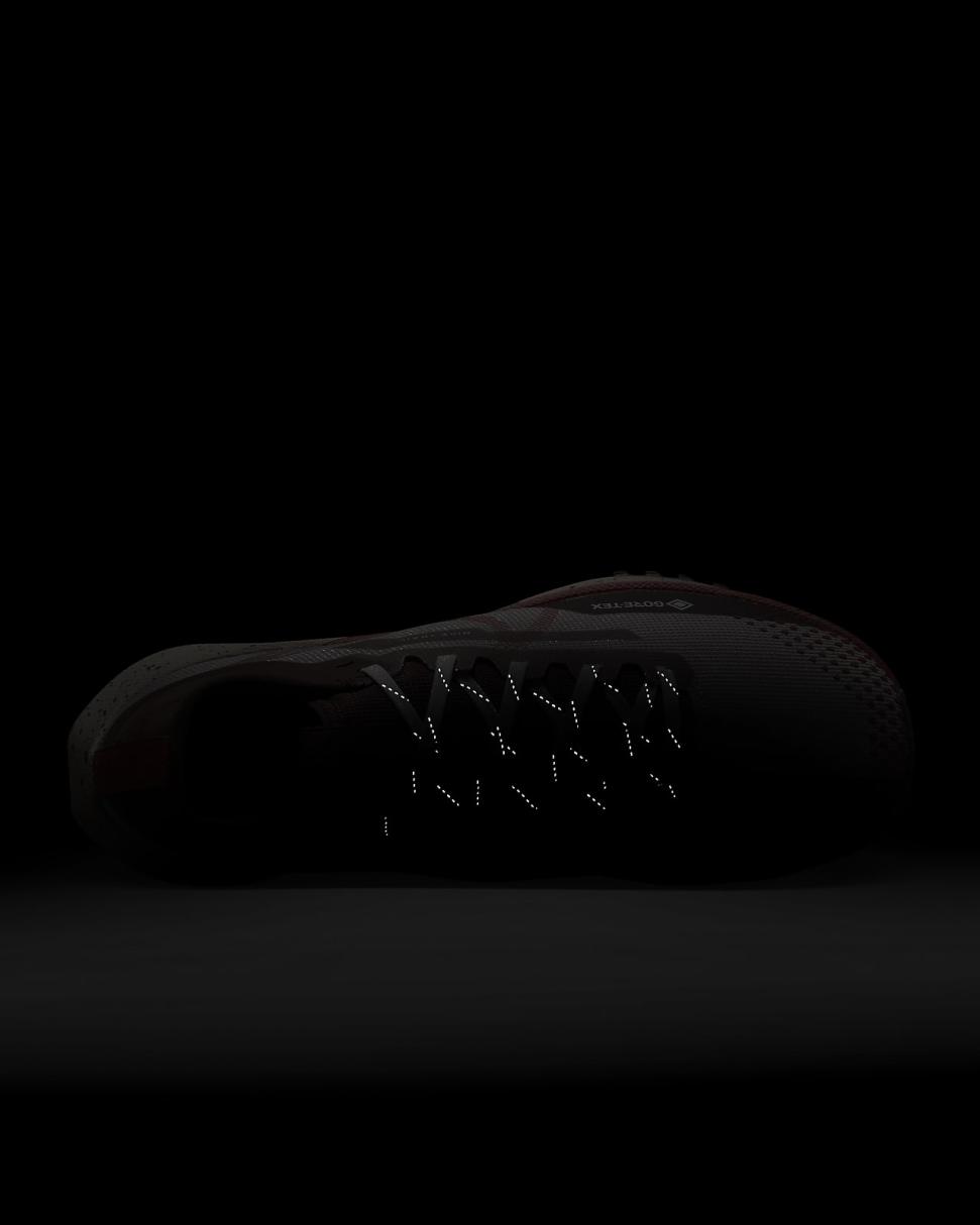 Nike Pegasus Trail 4 GORE-TEX Diffused Taupe/Dark Pony/Sail/Picante Red | Womens Nike Running