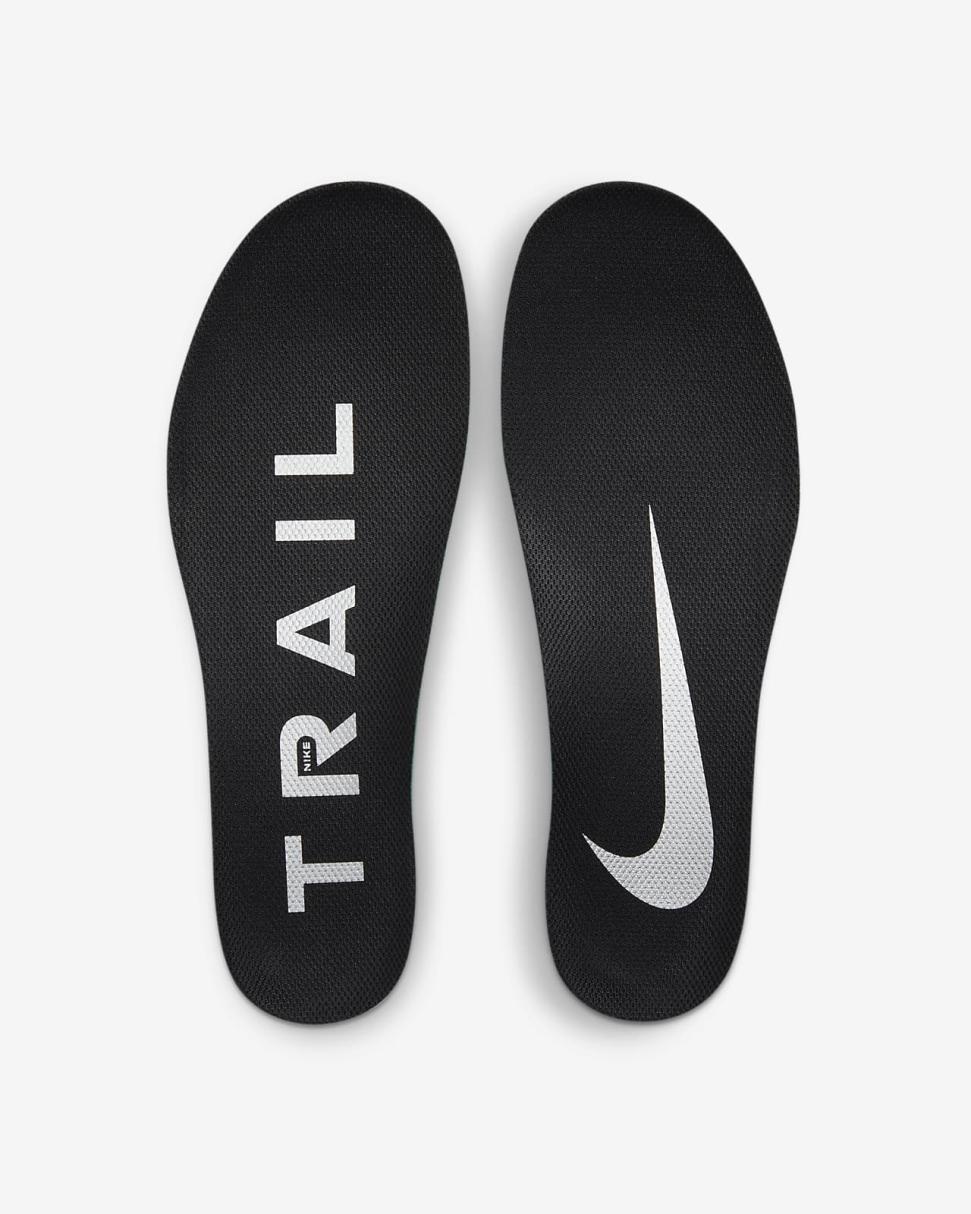 Nike Pegasus Trail 4 Light Photo Blue/Track Red/Black/Metallic Silver | Womens Nike Running