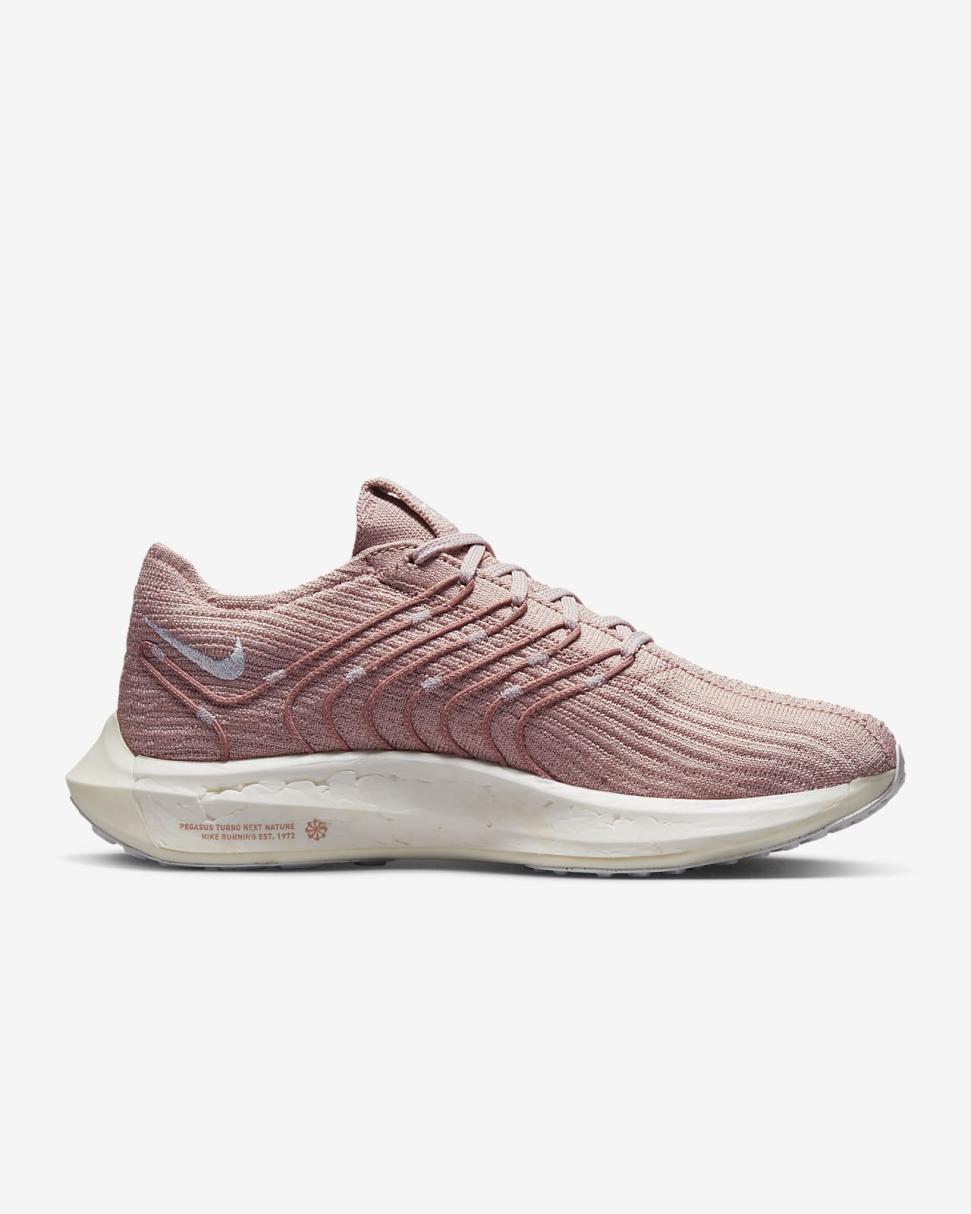 Nike Pegasus Turbo Pink Oxford/Barely Rose/White/White | Womens Nike First Day Kicks