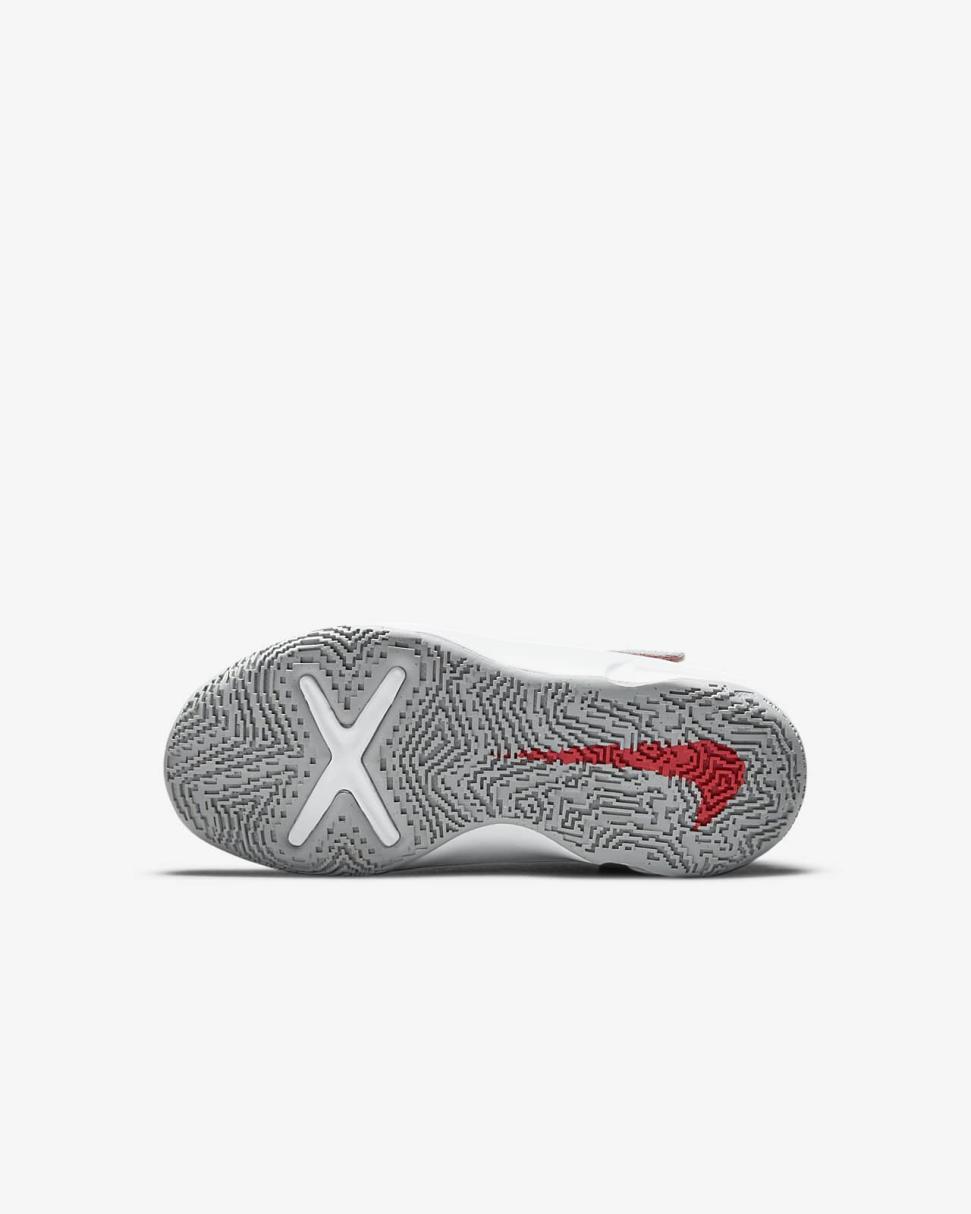 Nike Team Hustle D 10 Light Smoke Grey/Dark Obsidian/White/Bright Crimson | Kids Nike Basketball