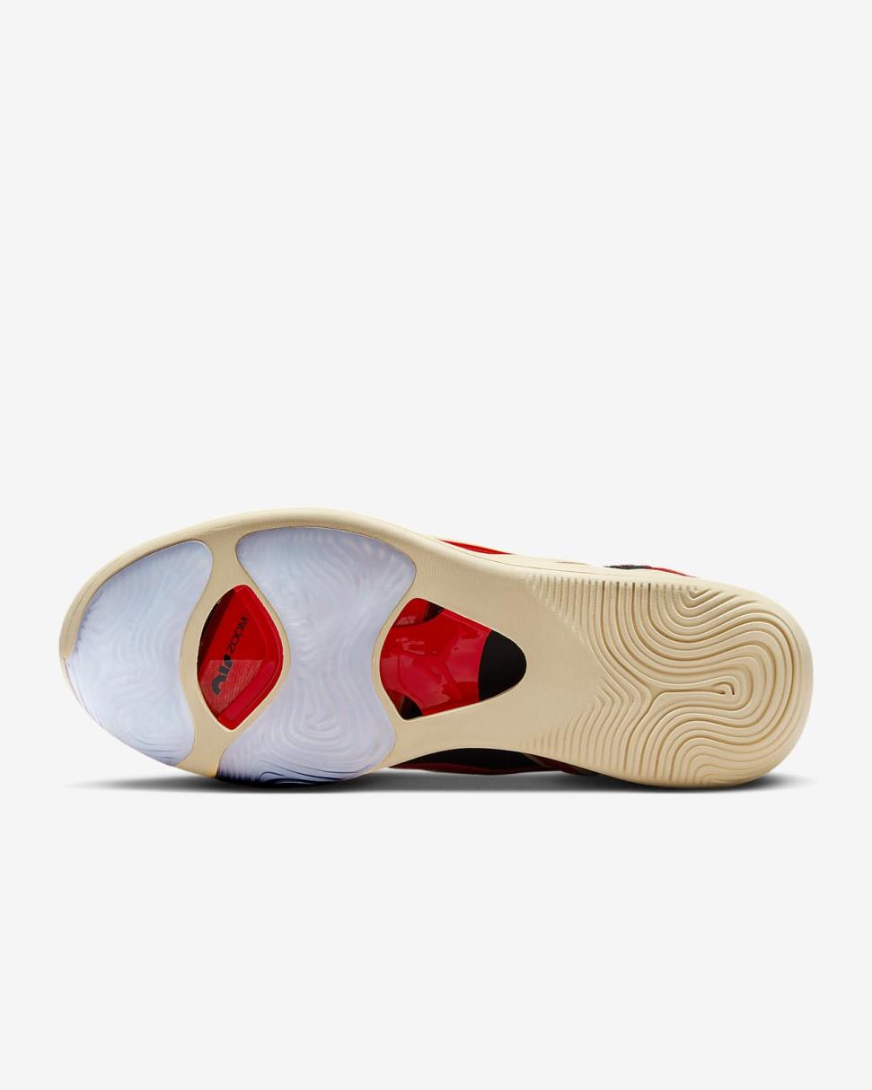 Tatum 1 "Zoo" Black/University Red/Beach/Metallic Gold | Mens/Womens Nike Jordan